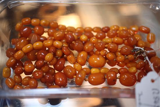 Three single strand amber bead necklaces, longest 36in.